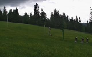 Jedrol Suche górna stacja - 17-06-2026 15:33