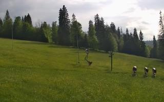 Jedrol Suche górna stacja - 17-06-2026 16:11