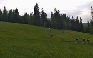 Jedrol Suche górna stacja - 17-06-2026 16:27