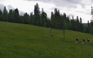Jedrol Suche górna stacja - 17-06-2026 16:50