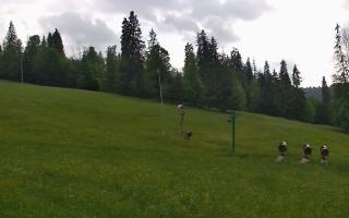 Jedrol Suche górna stacja - 17-06-2026 16:57