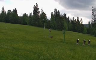 Jedrol Suche górna stacja - 17-06-2026 17:28