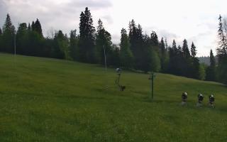 Jedrol Suche górna stacja - 17-06-2026 17:51