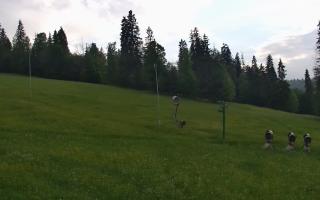 Jedrol Suche górna stacja - 17-06-2026 17:59