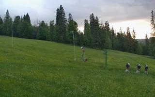 Jedrol Suche górna stacja - 17-06-2026 19:09