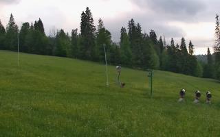 Jedrol Suche górna stacja - 17-06-2026 19:24