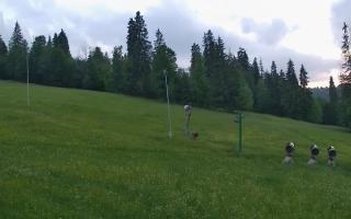 Jedrol Suche górna stacja - 17-06-2026 19:32