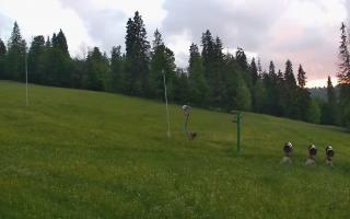 Jedrol Suche górna stacja - 17-06-2026 19:39
