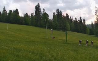 Jedrol Suche górna stacja - 17-06-2026 19:47
