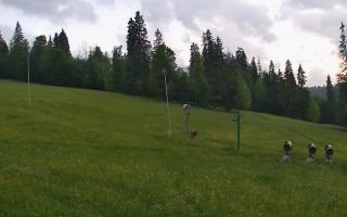 Jedrol Suche górna stacja - 17-06-2026 19:55
