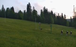 Jedrol Suche górna stacja - 17-06-2026 20:10