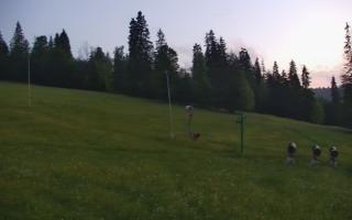 Jedrol Suche górna stacja - 17-06-2026 20:18