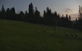 Jedrol Suche górna stacja - 17-06-2026 20:26
