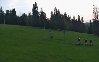 Jedrol Suche górna stacja - 01-08-2026 18:45