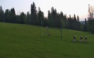 Jedrol Suche górna stacja - 01-08-2026 19:31