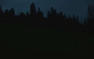 Jedrol Suche górna stacja - 02-08-2026 03:37
