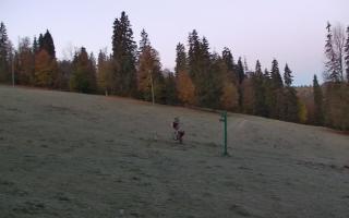 Jedrol Suche górna stacja - 17-10-2026 04:50