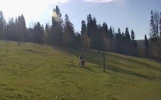 Jedrol Suche górna stacja - 17-10-2026 12:32