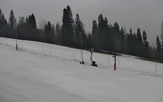 Jedrol Suche górna stacja - <br />
<b>Notice</b>:  Undefined index: godzina in <b>/var/www/webcam-news.pl/sites/elements/video-list-category-item.php</b> on line <b>23</b><br />
01-01-1970 00:00