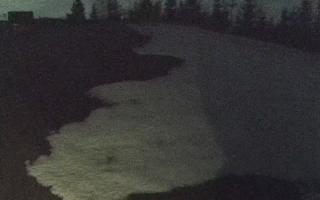 Kotlinka Szymbark - 03-04-2026 22:12