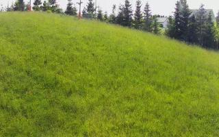Kotlinka Szymbark - 17-06-2026 14:14