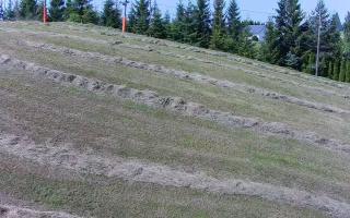 Kotlinka Szymbark - 27-06-2026 08:24