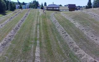 Kotlinka Szymbark - 27-06-2026 09:12