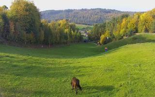 Kotlinka Szymbark - 17-10-2026 13:51