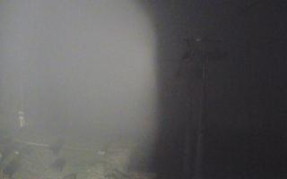 Świeradów - gondola - 03-11-2025 02:32