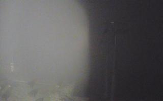 Świeradów - gondola - 03-11-2025 04:26