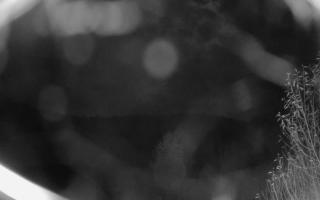 Szklana Góra Ski w Harbutowicach - 02-11-2025 20:48