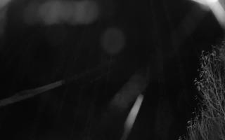 Szklana Góra Ski w Harbutowicach - 03-11-2025 18:36