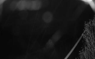 Szklana Góra Ski w Harbutowicach - 03-11-2025 18:51