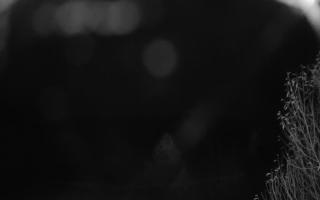 Szklana Góra Ski w Harbutowicach - 03-11-2025 20:24