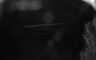 Szklana Góra Ski w Harbutowicach - 03-11-2025 20:08