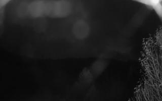 Szklana Góra Ski w Harbutowicach - 03-11-2025 21:25