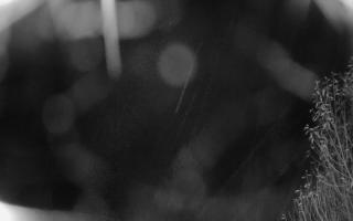 Szklana Góra Ski w Harbutowicach - 03-11-2025 04:45