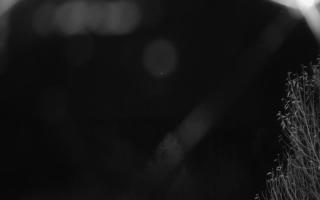 Szklana Góra Ski w Harbutowicach - 04-11-2025 02:48