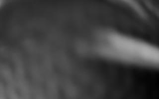 Szklana Góra Ski w Harbutowicach - 12-12-2025 21:36