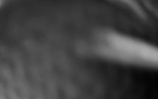 Szklana Góra Ski w Harbutowicach - 13-12-2025 00:09