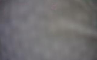 Szklana Góra Ski w Harbutowicach - 13-12-2025 09:08