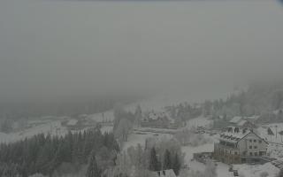 Nartorama - Panorama #2 Zielenie - 29-01-2026 13:38