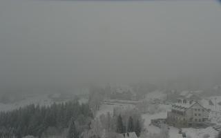 Nartorama - Panorama #2 Zielenie - 29-01-2026 13:45