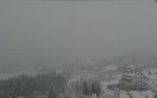 Nartorama - Panorama #2 Zielenie - 29-01-2026 13:53