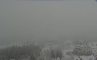 Nartorama - Panorama #2 Zielenie - 29-01-2026 14:01