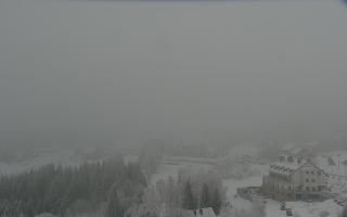 Nartorama - Panorama #2 Zielenie - 29-01-2026 14:09