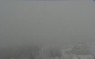 Nartorama - Panorama #2 Zielenie - 29-01-2026 14:16