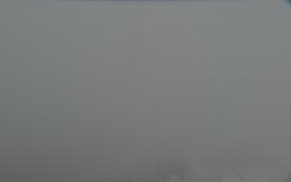 Nartorama - Panorama #2 Zielenie - 29-01-2026 14:32