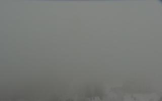 Nartorama - Panorama #2 Zielenie - 29-01-2026 14:47