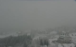 Nartorama - Panorama #2 Zielenie - 29-01-2026 15:03